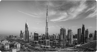UAE Flag